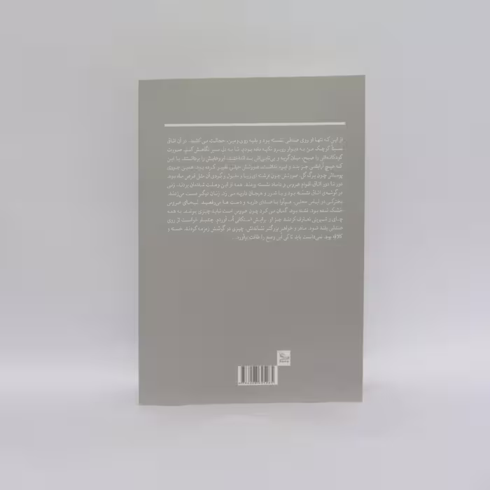 کتاب زنی که می شناختم اثر زهرا شاهرخی انتشارات چلچله
