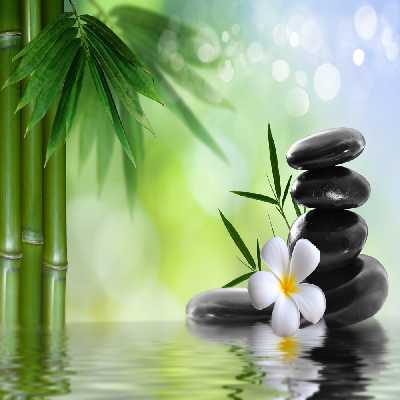  پرده زبرا مدل TD-79 سایز 160x180 سانتی متر