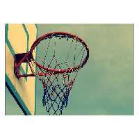 تابلو شاسی ونسونی طرح Hittin the Jumper سایز 50x70 سانتی متر