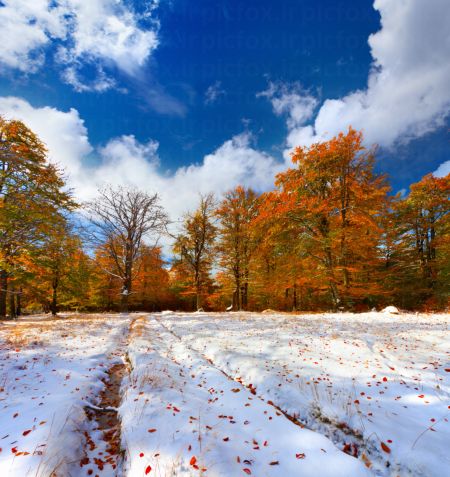 خرید و دانلود عکس Nature-Part-23 کد 36178 | پیک فاکس | Pic Fox