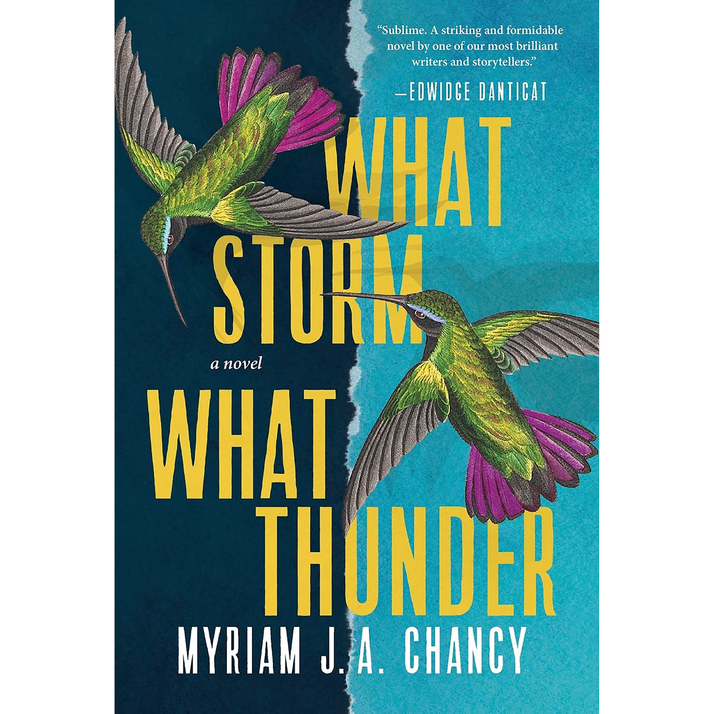کتاب What Storm, What Thunder اثر Myriam J A Chancy انتشارات Tin House Books