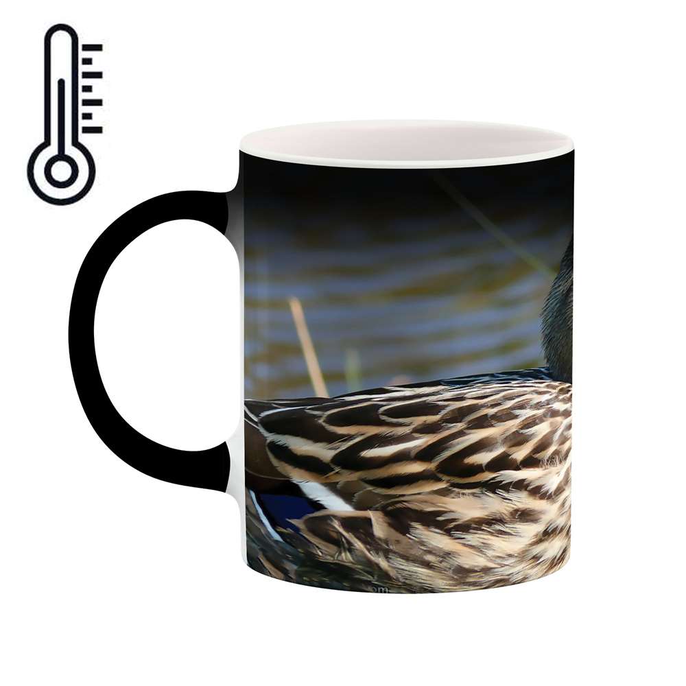 ماگ حرارتی طرح اردک مدل mgh02272