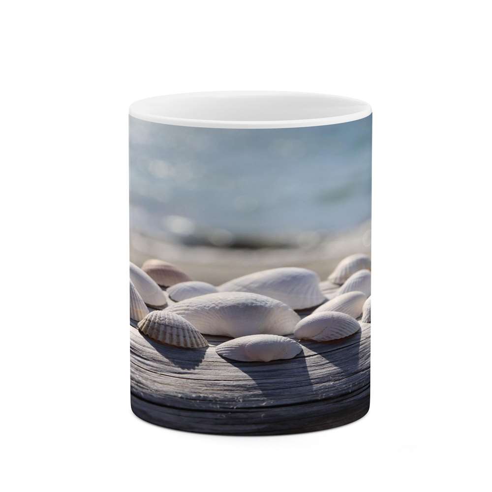 ماگ کاکتی طرح صدف مدل mgs16722