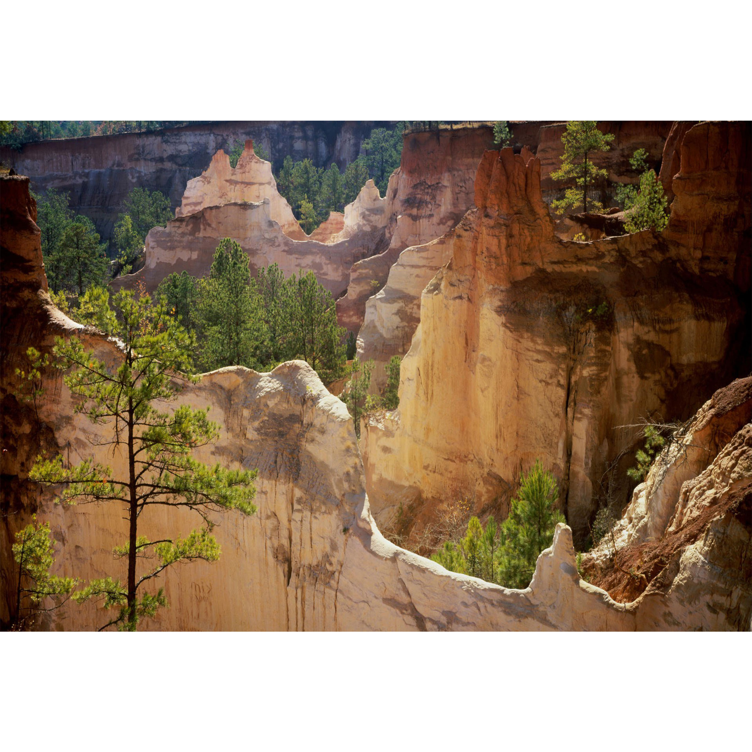 تابلو شاسی مدل صخره و درخت و جنگل T7150