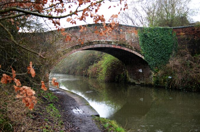 خرید و دانلود عکس Nature-Part-17 کد 35712 | پیک فاکس | Pic Fox