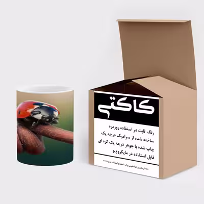 ماگ کاکتی طرح کفشدوزک مدل mgs14646
