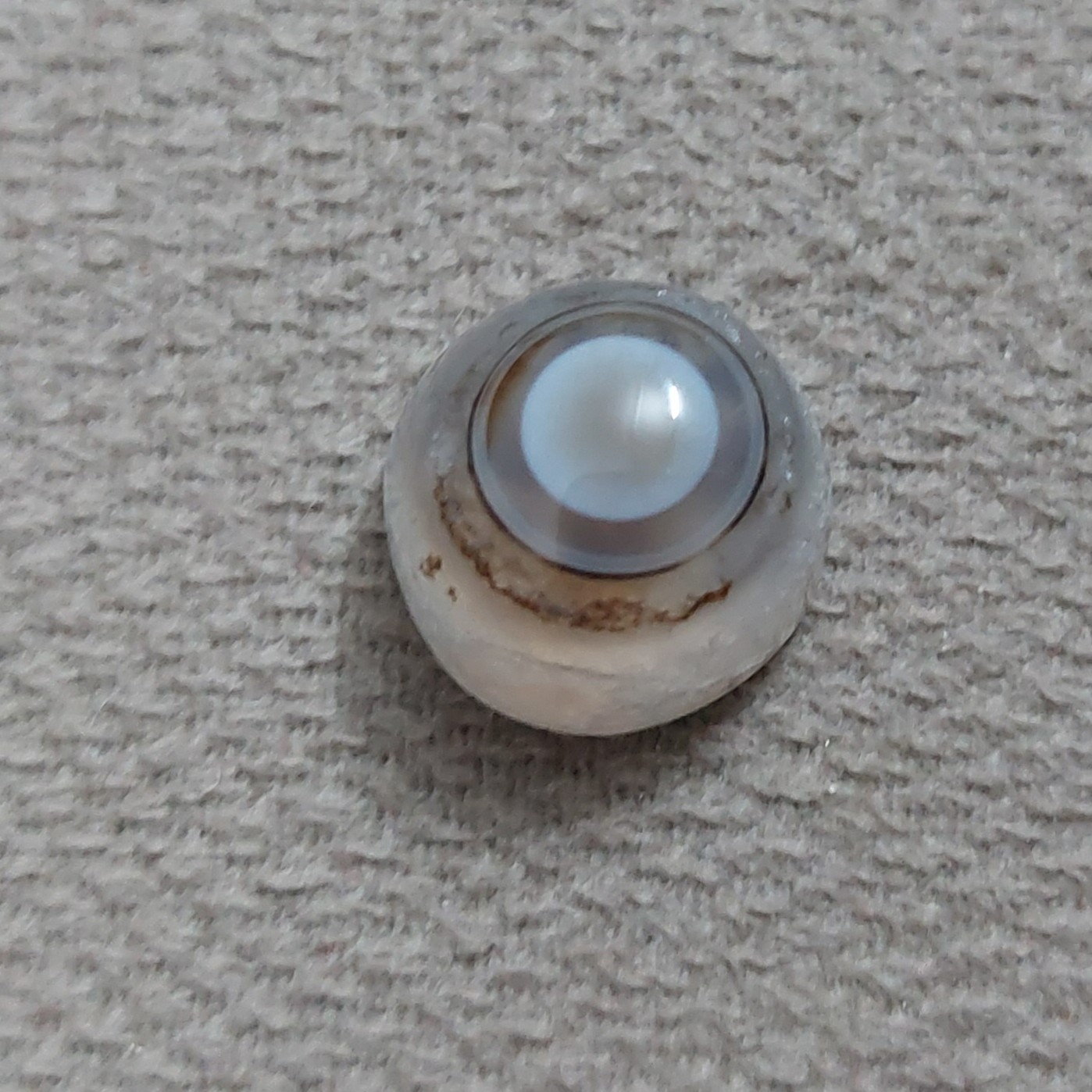 عقیق باباقوری 