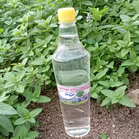 عرق نعنا سوادکوه (770گرمی)