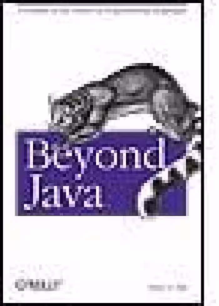 خرید و دانلود نسخه کامل کتاب Beyond Java