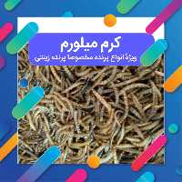  کرم میل ورم  80 گرمی  منبع غنی پروتئین برای پرنده مخصوصا پرنده زینتی 