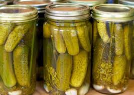 دانلود طرح توجیهی توليد خيار شور