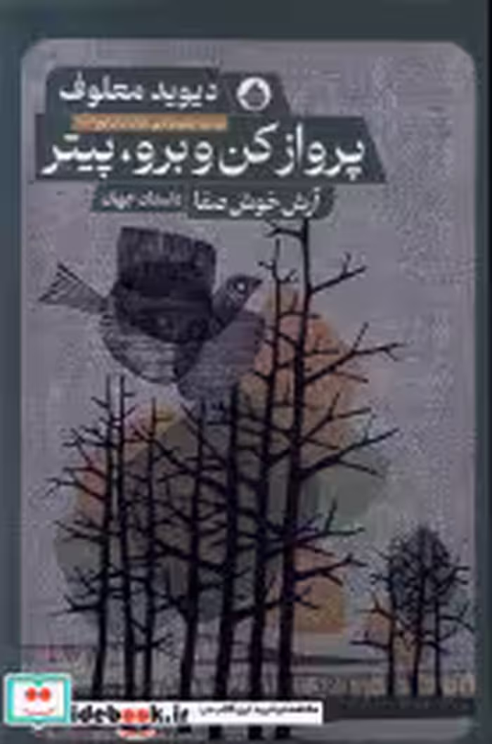 قیمت و خرید کتاب پرواز کن و برو پیتر حکمت کلمه | ایده بوک