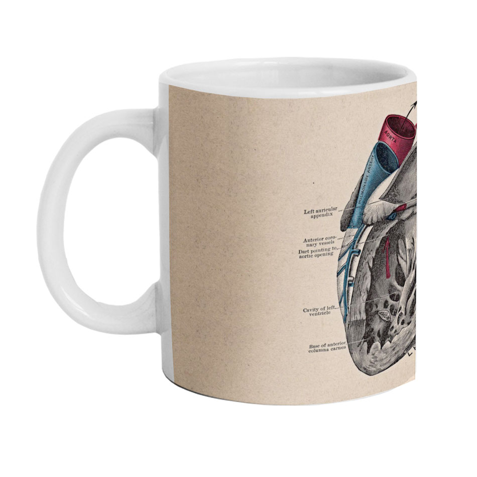 ماگ دارلی طرح آناتومی پزشکی مدل MG2143