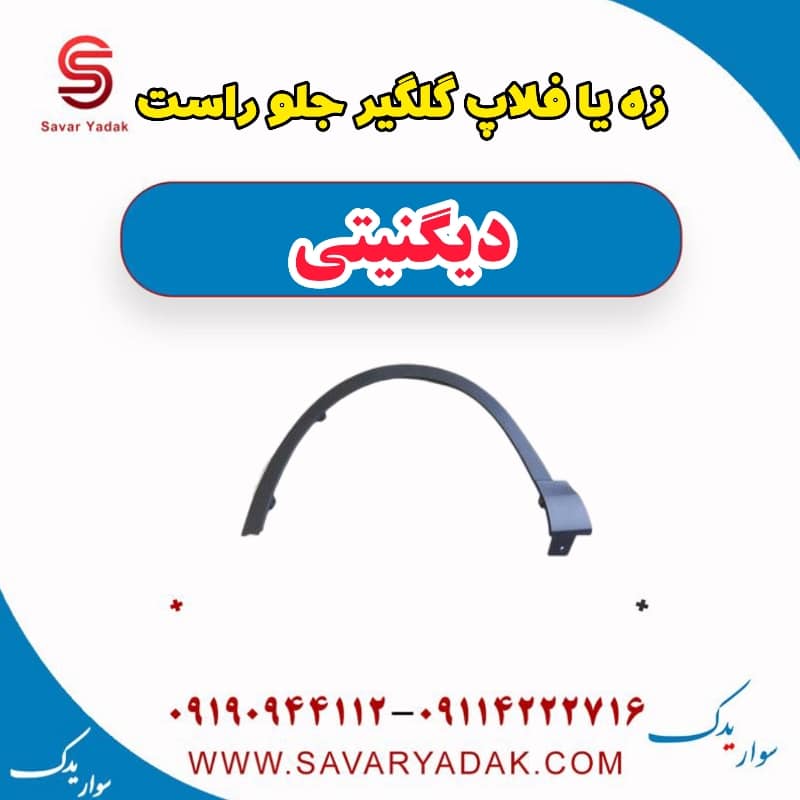 زه یا فلاپ گلگیر جلو راست دیگنیتی