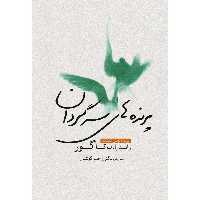 کتاب پرنده‌های سرگردان اثر رابیندرانات تاگور انتشارات سبزان