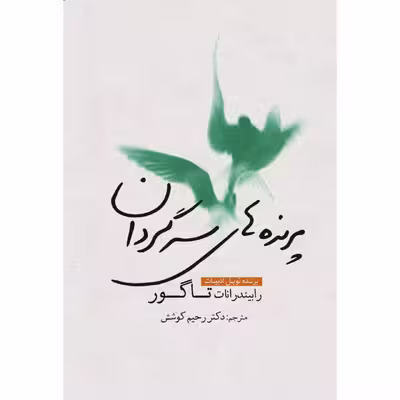 کتاب پرنده‌های سرگردان اثر رابیندرانات تاگور انتشارات سبزان