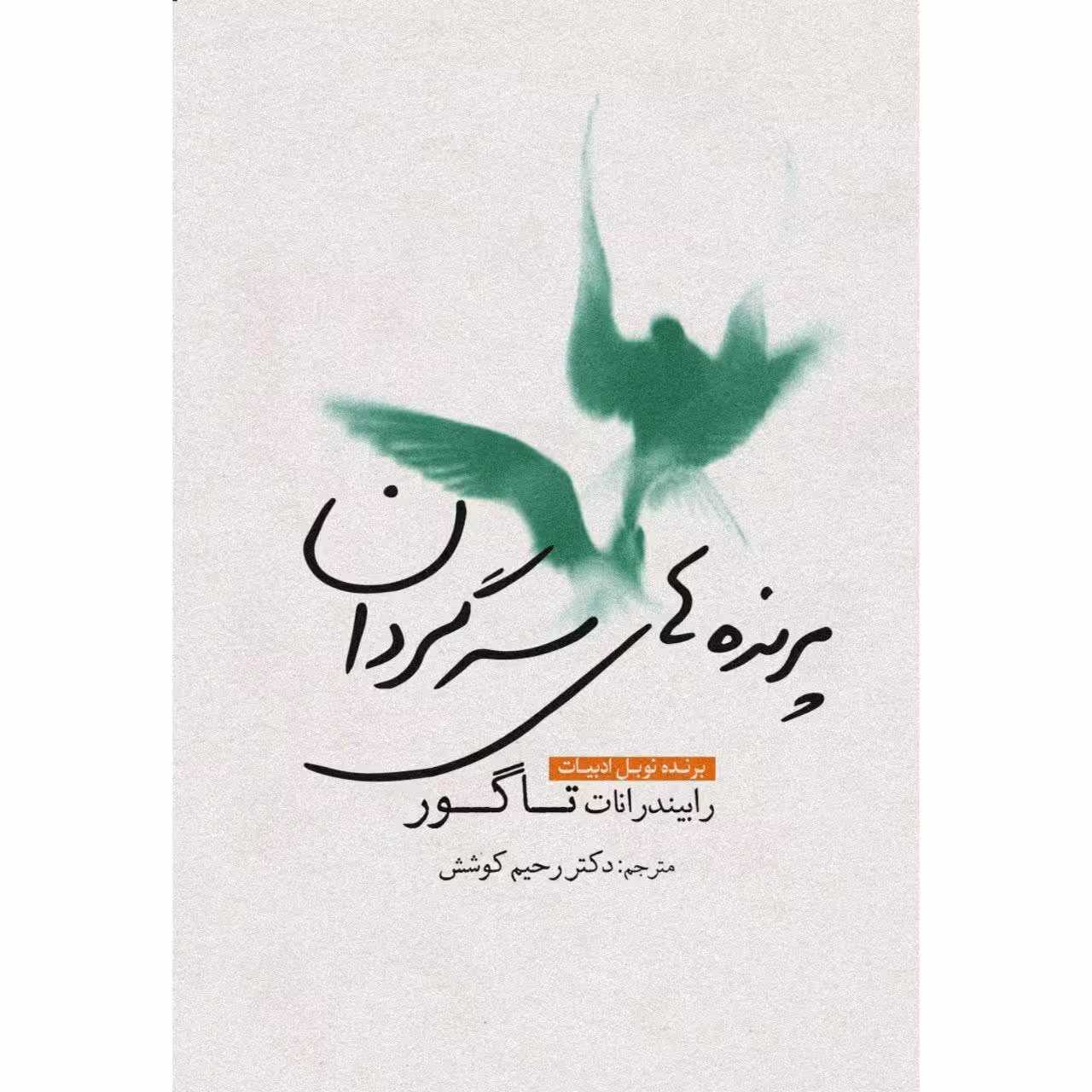 کتاب پرنده‌های سرگردان اثر رابیندرانات تاگور انتشارات سبزان
