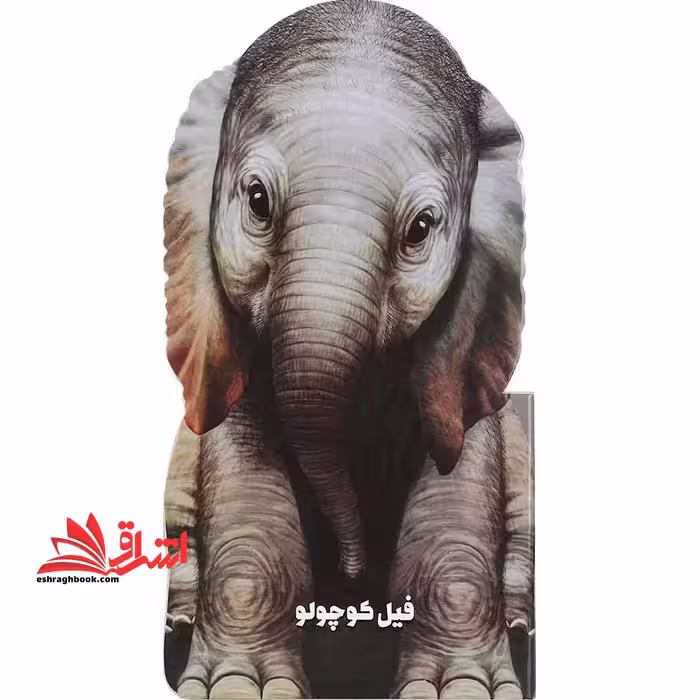 داستان زندگی (فیل کوچولو) زنبور # - فروشگاه کتاب اشراق