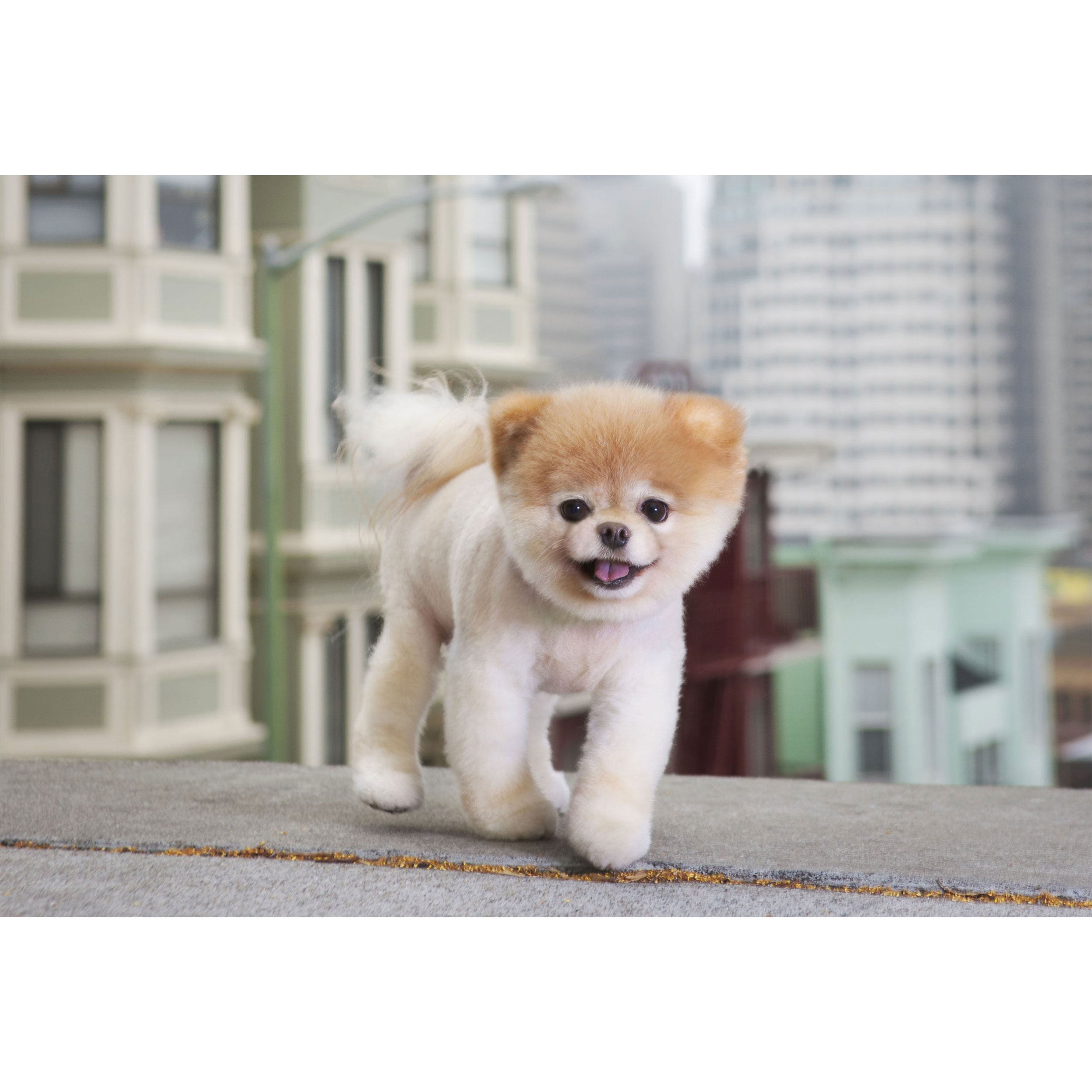 تابلو شاسی طرح سگ مدل T1521