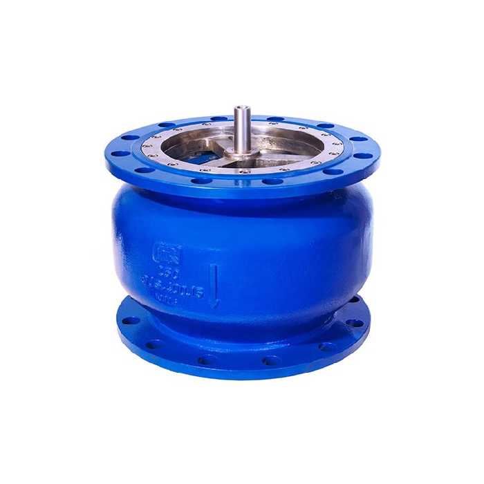 شیر یکطرفه سوپاپی فنردار میراب