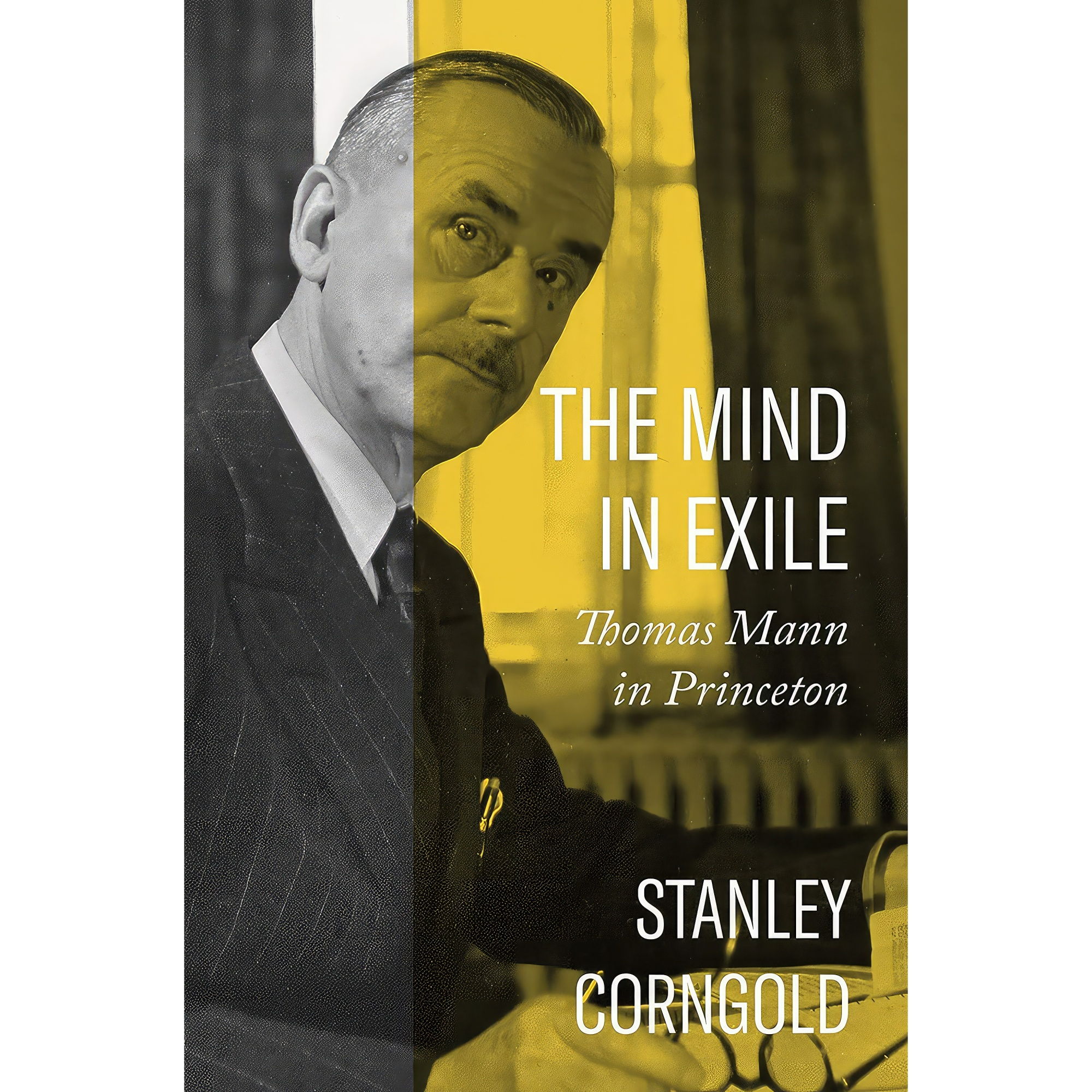 کتاب The Mind in Exile اثر Stanley Corngold انتشارات Princeton University Press