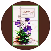 کتاب شاید خدا گم شد - خرید با تخفیف چهل درصد ازکتاب دایره قهوه ای