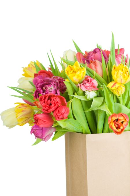 خرید و دانلود عکس IranBCS کد 28298 | پیک فاکس | Pic Fox