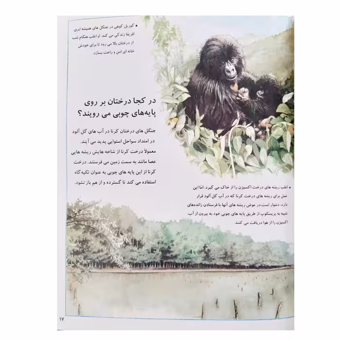 کتاب فکر می کنید چرا جنگل ها اثر جکی گاف انتشارات عروج اندیشه جلد 5