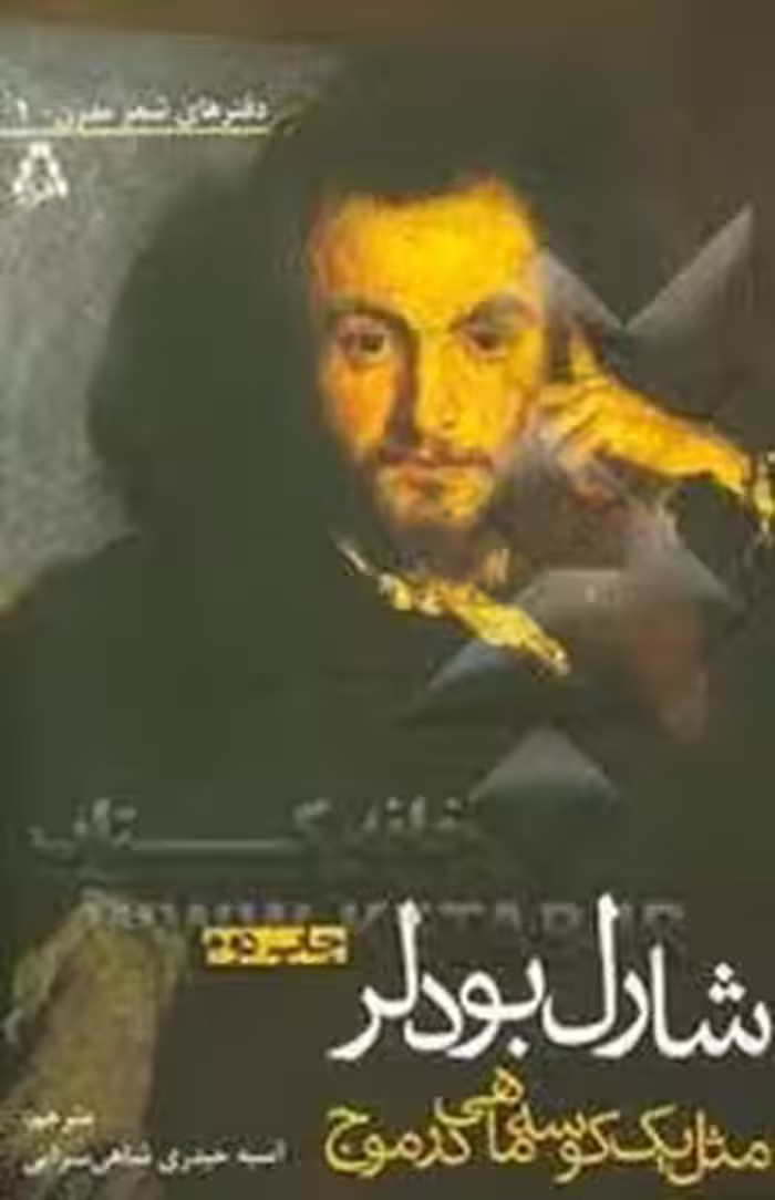 مثل یک کوسه ماهی در موج | مرکز فرهنگی آبی