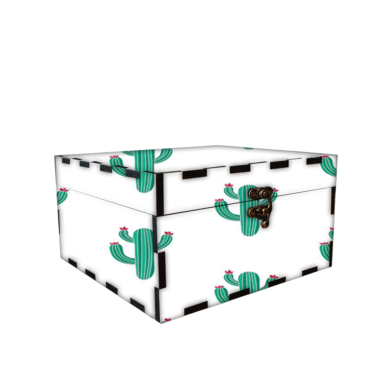 جعبه هدیه مدل کاکتوس کد 578