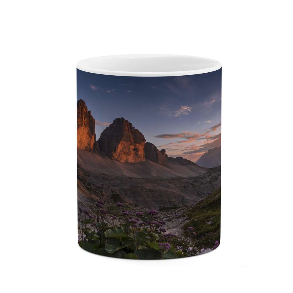 ماگ کاکتی طرح منظره مدل mgs14056