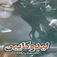 لیدوکایین - ناشربوک | خرید آنلاین کتاب