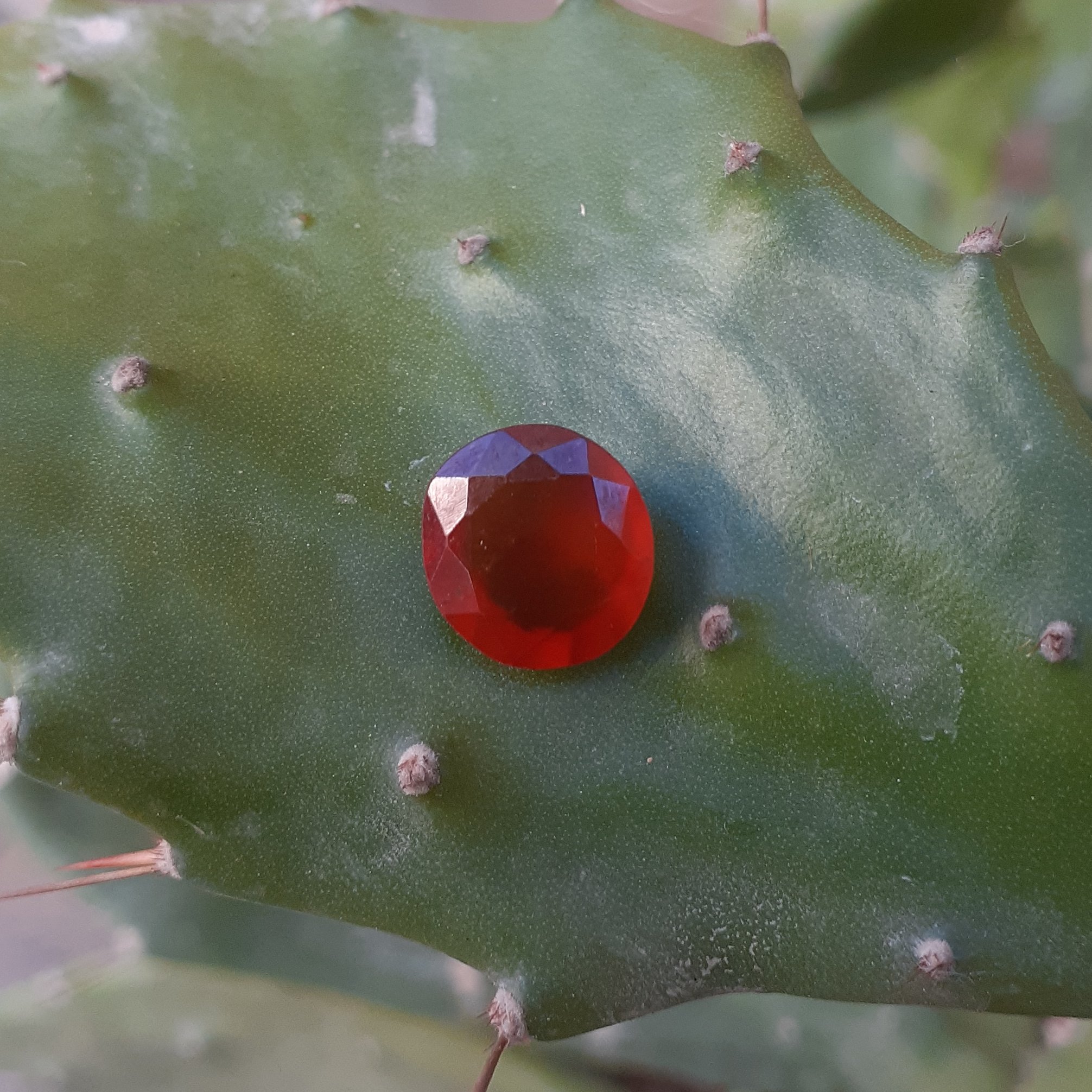 گارنت هسونایت(وارداتی،ارسال رایگان)