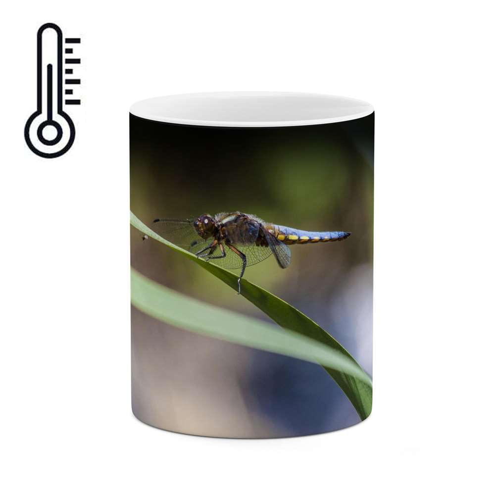 ماگ حرارتی طرح طبیعت و حیات وحش زیبا  مدل mgph14776