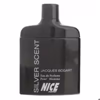ادو پرفیوم مردانه نایس مدل Silver Scent حجم 85 میلی لیتر