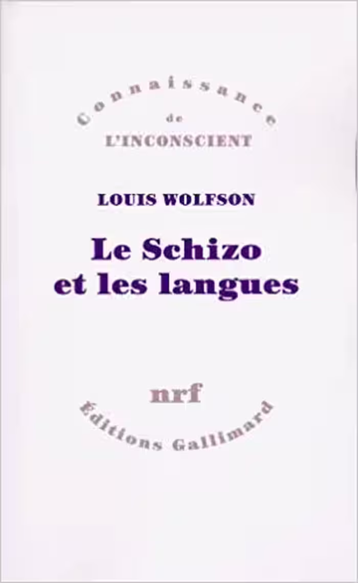 خرید و دانلود نسخه کامل کتاب Le schizo et les langues