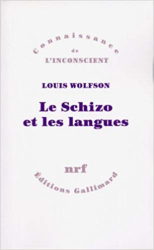 خرید و دانلود نسخه کامل کتاب Le schizo et les langues
