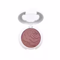 رژ گونه کالر سونگ وُو شماره 110 VOV