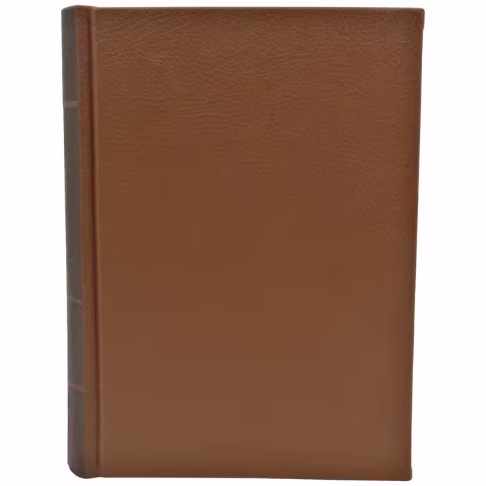 کتاب بابا لنگ دراز اثر جین وبستر انتشارات پارمیس