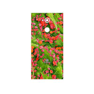 برچسب پوششی ماهوت مدل Atom Universe 3 مناسب برای گوشی موبایل سونی Xperia XA2 Ultra