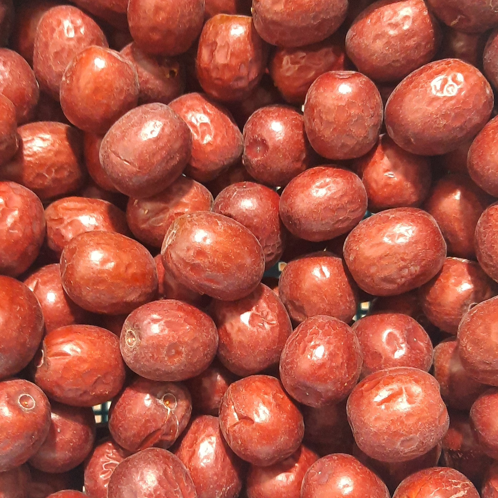 عناب دمنوشی  امسالی  100 گرم 