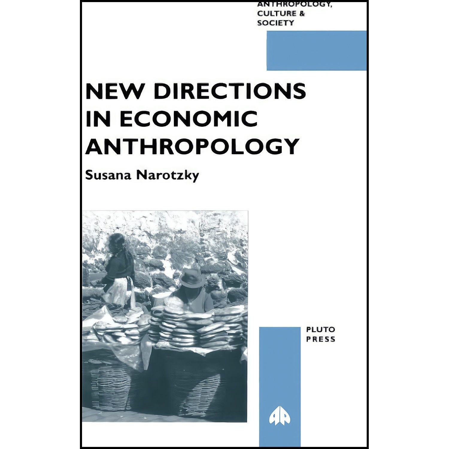 کتاب زبان اصلی New Directions in Economic Anthropology اثر Susana Narotzky
