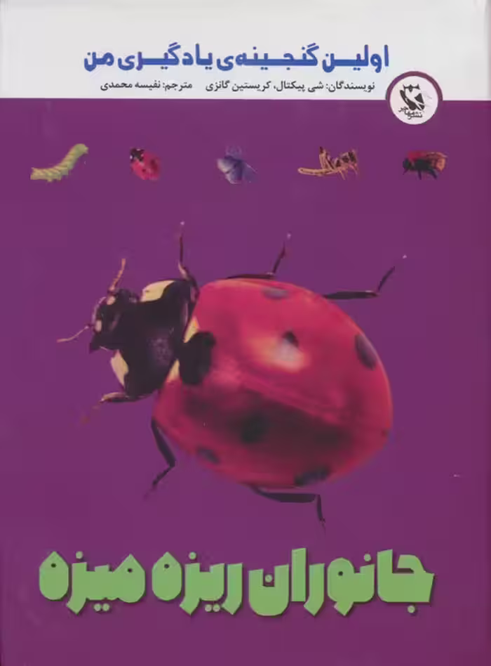 اولین گنجینه ی یادگیری من (جانوران ریزه میزه)،(گلاسه) - ناشربوک | خرید آنلاین کتاب