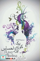 قیمت و خرید کتاب یک کوزه پر از احساس اثر ناصر پروانی | ایده بوک
