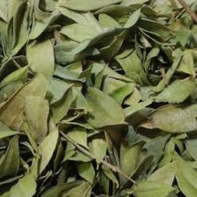 گیاه برگ مورد،75 گرم