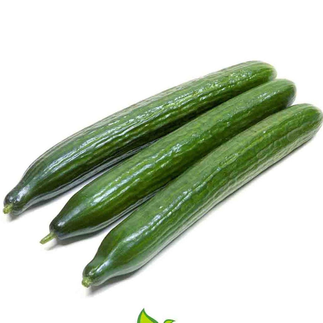 خیار یزدی درجه 1