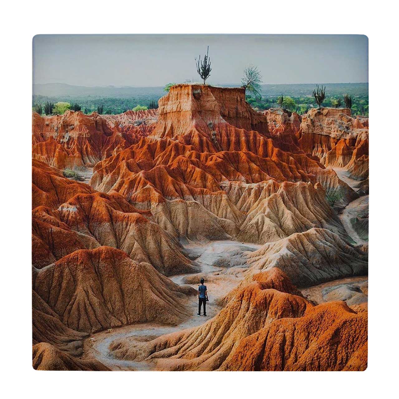 زیر لیوانی طرح منظره بیابانی کد    3540211_1396