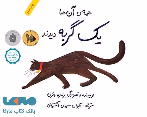همه آنها یک گربه دیدند فاطمی
