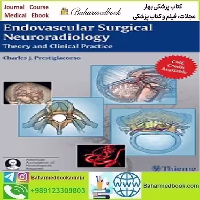 Endovascular Surgical Neuroradiology Theory and Clinical Practi
