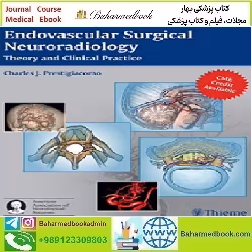 Endovascular Surgical Neuroradiology Theory and Clinical Practi